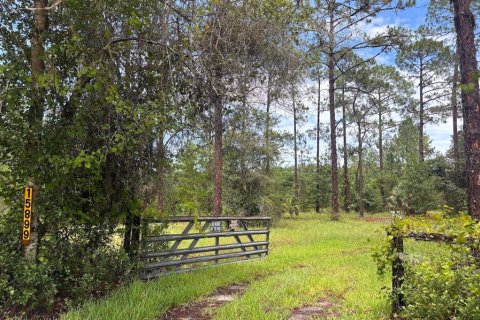 House in Fort MC Coy, Florida 2 bedrooms, 125.79 sq.m. № 1834728 - photo 26