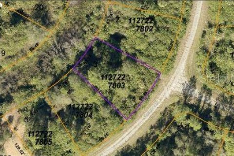 Land in North Port, Florida № 2163490 - photo 5