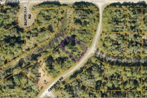 Land in North Port, Florida № 2163490 - photo 4