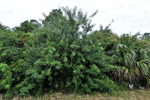 Land in North Port, Florida № 2163490 - photo 2