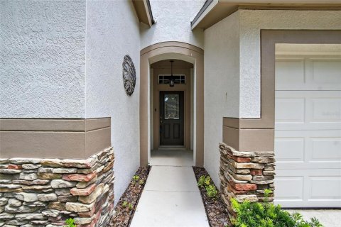 House in Fish Hawk, Florida 5 bedrooms, 246.66 sq.m. № 1885519 - photo 4