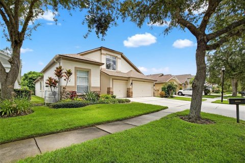 House in Fish Hawk, Florida 5 bedrooms, 246.66 sq.m. № 1885519 - photo 3
