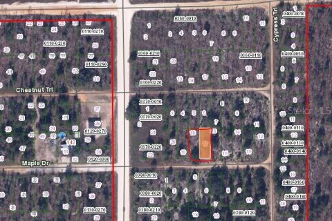 Land in Interlachen, Florida № 2223864 - photo 2