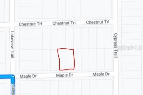 Land in Interlachen, Florida № 2223864 - photo 3
