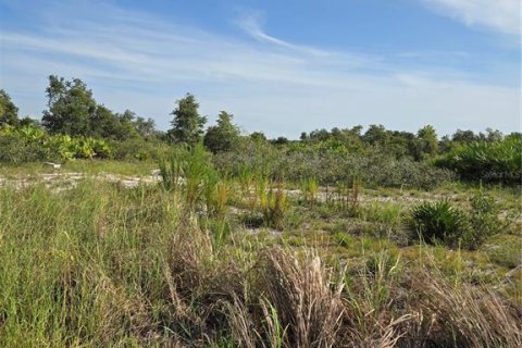 Land in Myakka City, Florida № 1857858 - photo 5