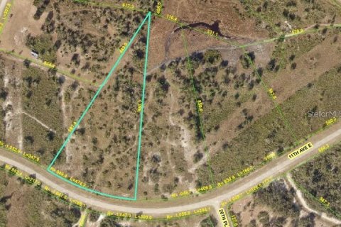Land in Myakka City, Florida № 1857858 - photo 1
