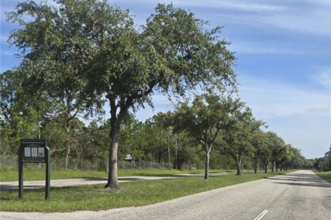 Land in Myakka City, Florida № 1857858 - photo 4
