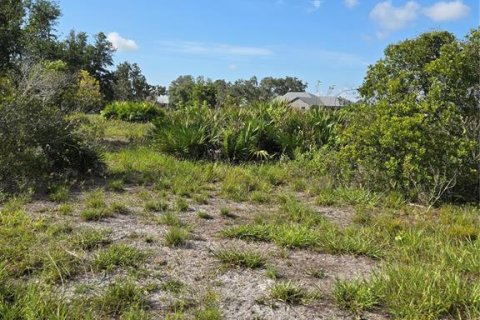 Land in Myakka City, Florida № 1857858 - photo 7
