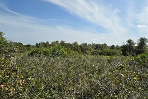 Land in Myakka City, Florida № 1857858 - photo 11