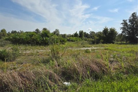 Land in Myakka City, Florida № 1857858 - photo 6