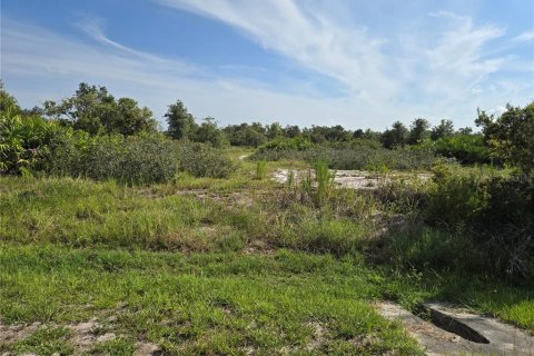 Land in Myakka City, Florida № 1857858 - photo 2