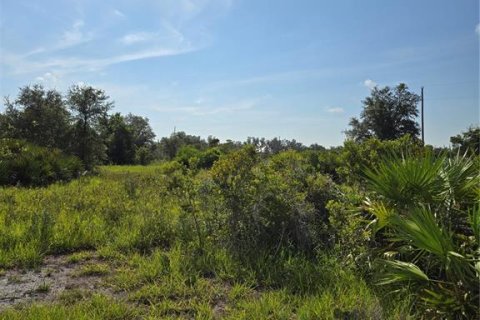 Land in Myakka City, Florida № 1857858 - photo 9