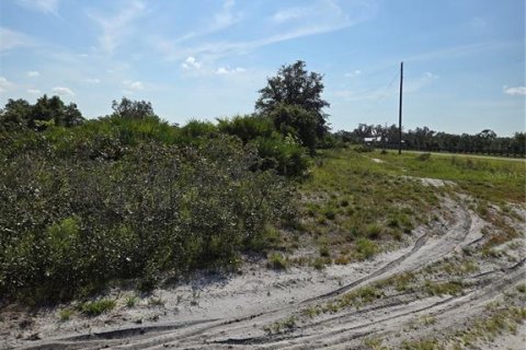 Land in Myakka City, Florida № 1857858 - photo 10