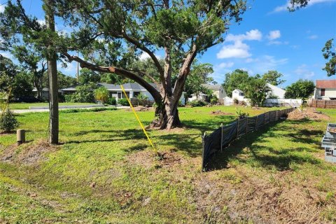 Land in Sarasota, Florida № 2393684 - photo 2