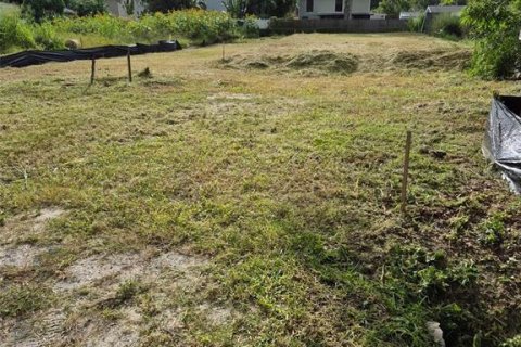 Land in Sarasota, Florida № 2393684 - photo 4