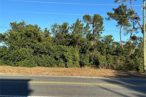 Land in Spring Hill, Florida № 1743561 - photo 2