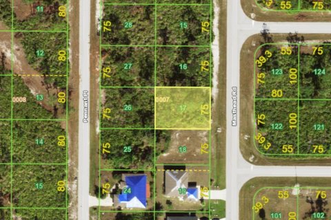 Land in Placida, Florida № 2163231 - photo 2