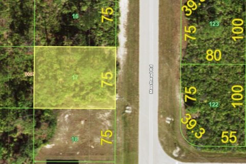 Land in Placida, Florida № 2163231