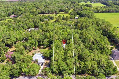 House in Elkton, Florida 3 bedrooms, 172.05 sq.m. № 2306121 - photo 2