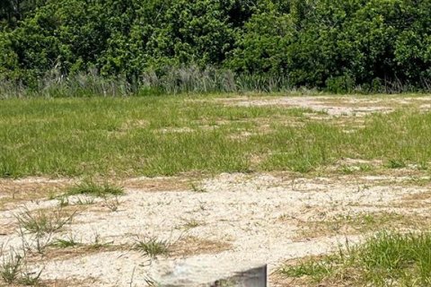 Terreno en venta en Flagler Beach, Florida № 1652331 - foto 2