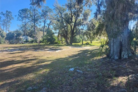Terrain à vendre à Mulberry, Floride № 1542460 - photo 5