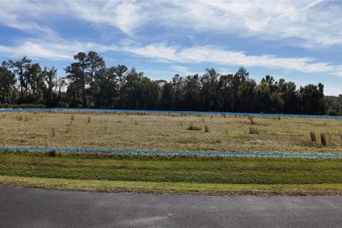 Land in Ocala, Florida № 2119021 - photo 7