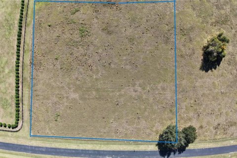 Land in Ocala, Florida № 2119021 - photo 5