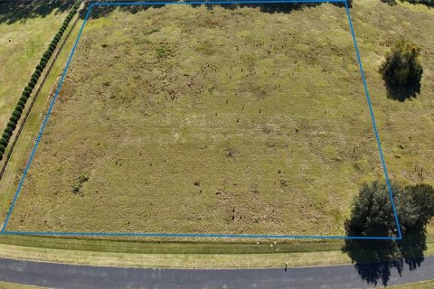 Land in Ocala, Florida № 2119021 - photo 6