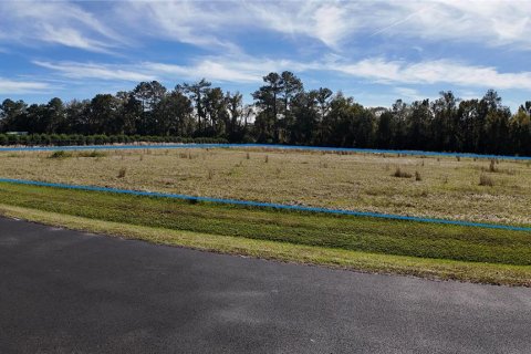 Land in Ocala, Florida № 2119021 - photo 3
