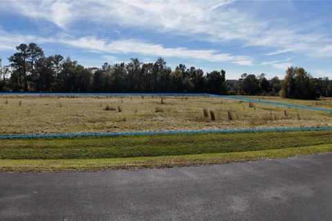 Land in Ocala, Florida № 2119021 - photo 2