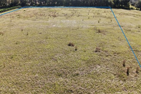 Land in Ocala, Florida № 2119021 - photo 4
