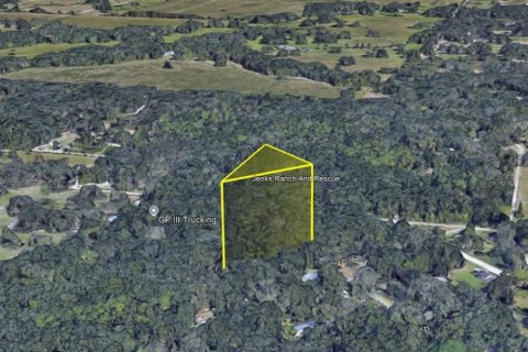 Land in Spring Hill, Florida № 1720387 - photo 2
