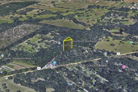 Land in Spring Hill, Florida № 1720387 - photo 4