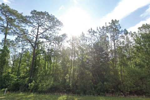 Land in Palatka, Florida № 2162367
