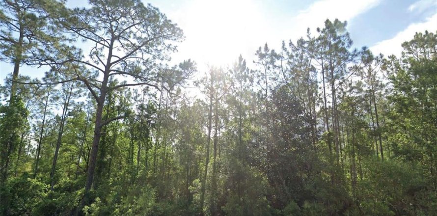 Land in Palatka, Florida № 2162367