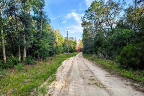 Land in Bronson, Florida № 2158946 - photo 4