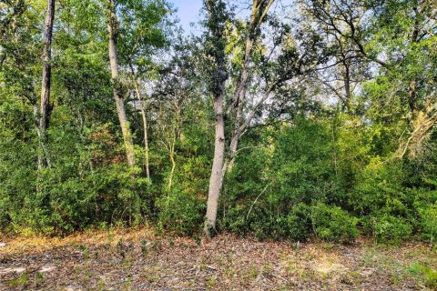 Land in Bronson, Florida № 2158946