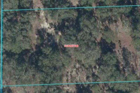 Land in Bronson, Florida № 2158946 - photo 5