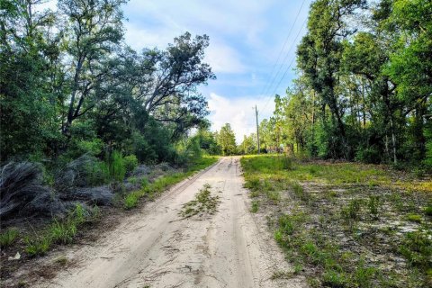 Land in Bronson, Florida № 2158946 - photo 3