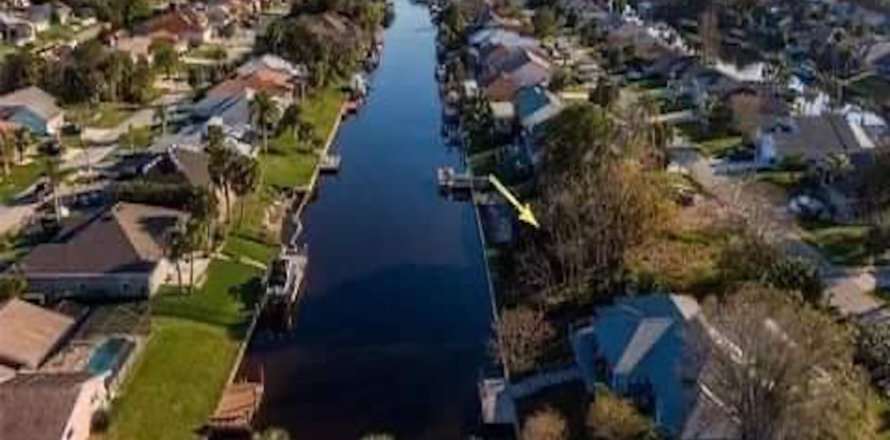 Land in Palm Coast, Florida № 767661