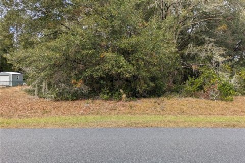 Land in Dunnellon, Florida № 2162867 - photo 3