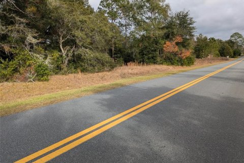 Land in Dunnellon, Florida № 2162867
