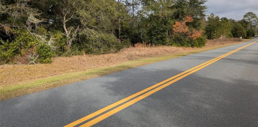 Land in Dunnellon, Florida № 2162867