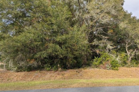 Land in Dunnellon, Florida № 2162867 - photo 2