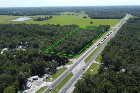 Terreno en venta en Brooksville, Florida № 1828441 - foto 3