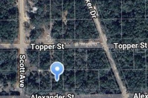 Terrain à Interlachen, Floride № 2223897