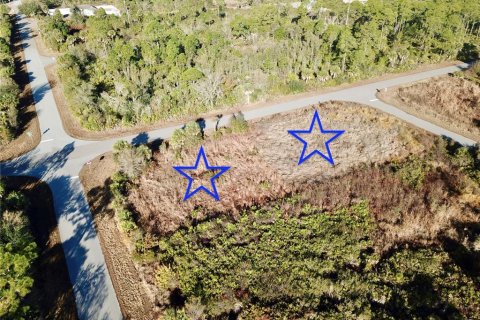 Land in Port Charlotte, Florida № 2235067 - photo 3