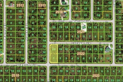 Land in Port Charlotte, Florida № 2235067 - photo 6