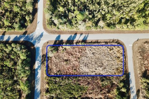 Land in Port Charlotte, Florida № 2235067 - photo 2