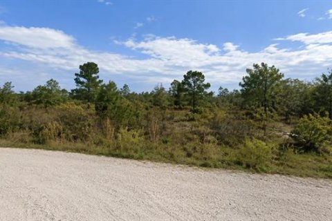 Terreno en Webster, Florida № 2167031